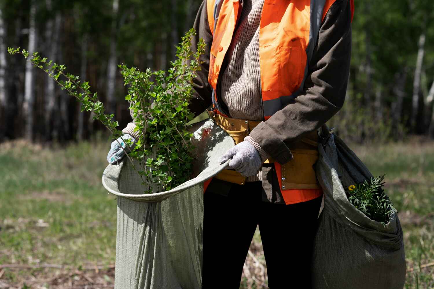 Best Tree Disease Treatment  in Mcrae Helena, GA